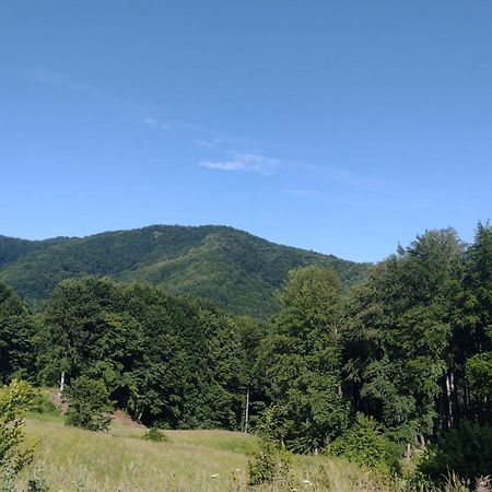 Casa Luna Betiluna Villa Oravita Dış mekan fotoğraf