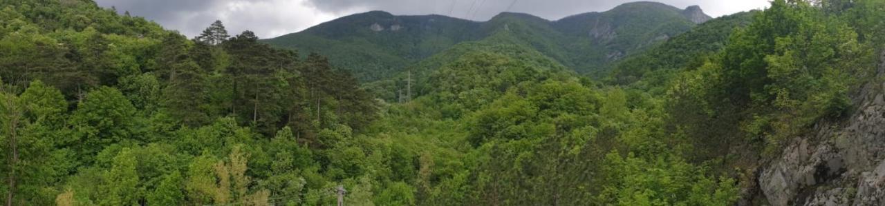 Casa Luna Betiluna Villa Oravita Dış mekan fotoğraf