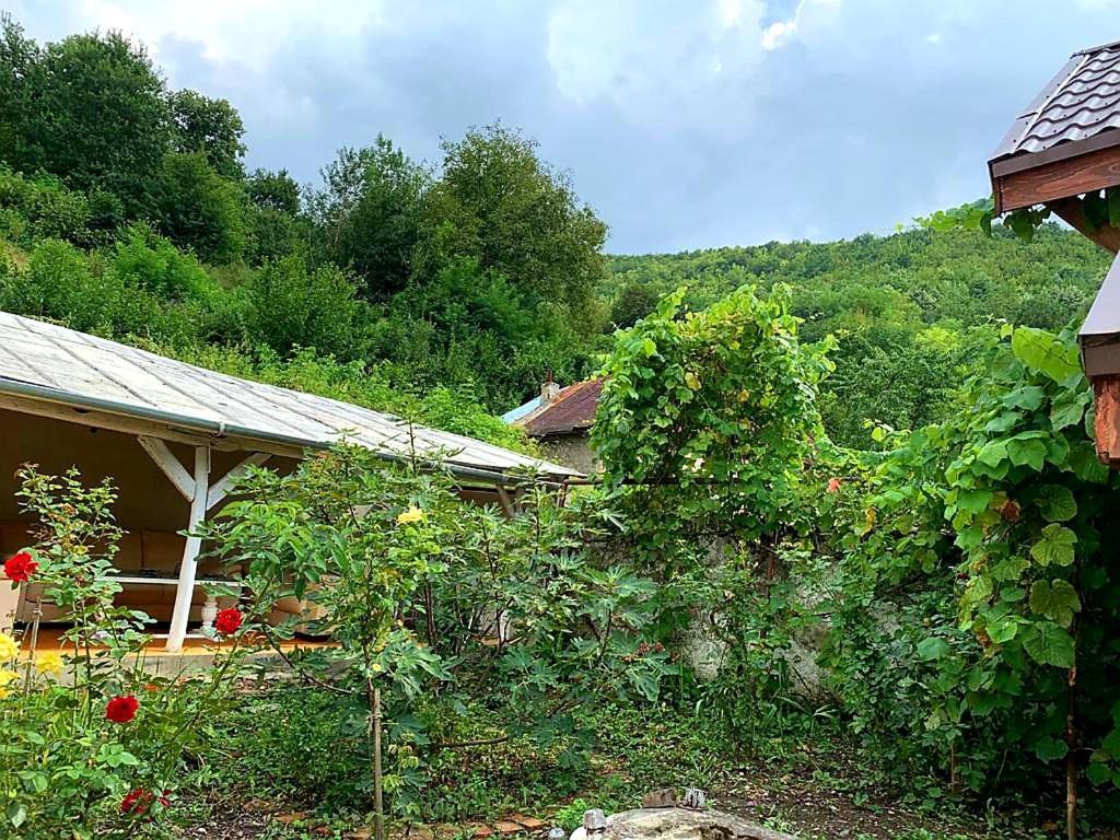 Casa Luna Betiluna Villa Oravita Dış mekan fotoğraf