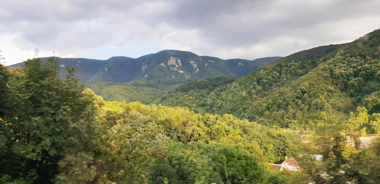 Casa Luna Betiluna Villa Oravita Dış mekan fotoğraf