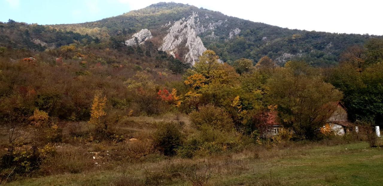 Casa Luna Betiluna Villa Oravita Dış mekan fotoğraf