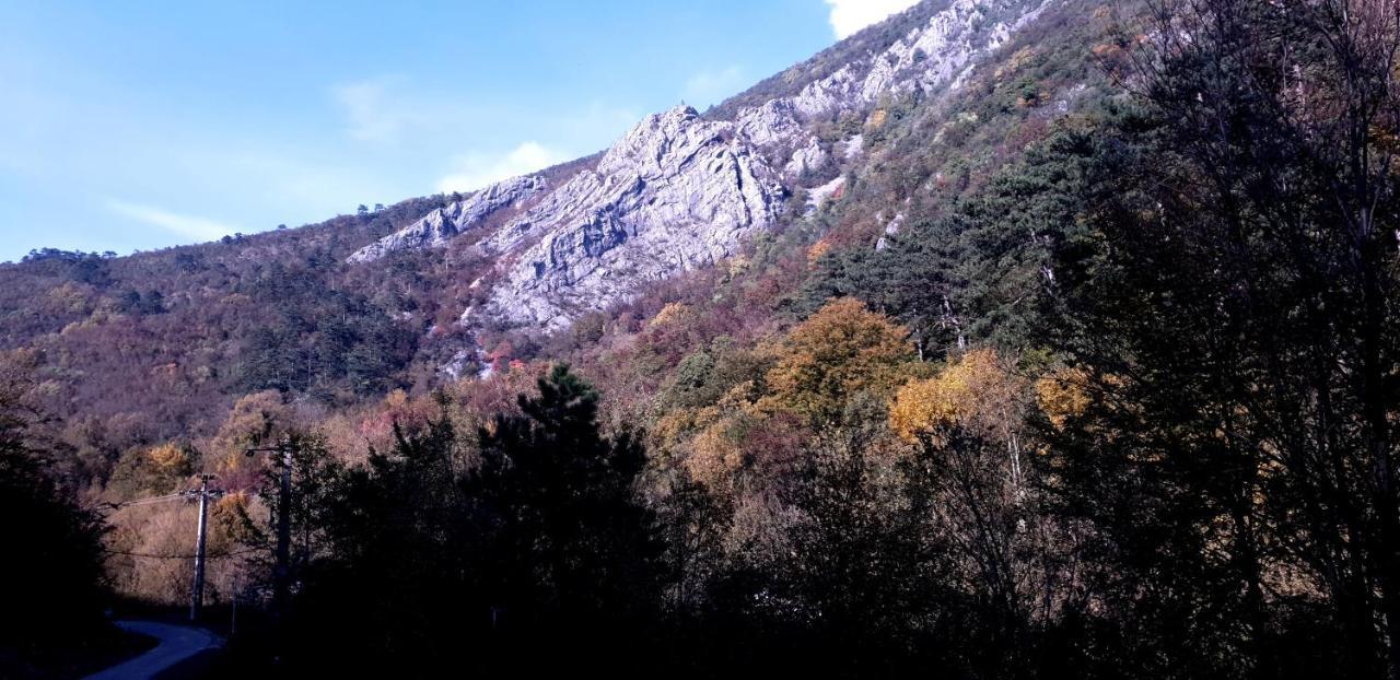 Casa Luna Betiluna Villa Oravita Dış mekan fotoğraf