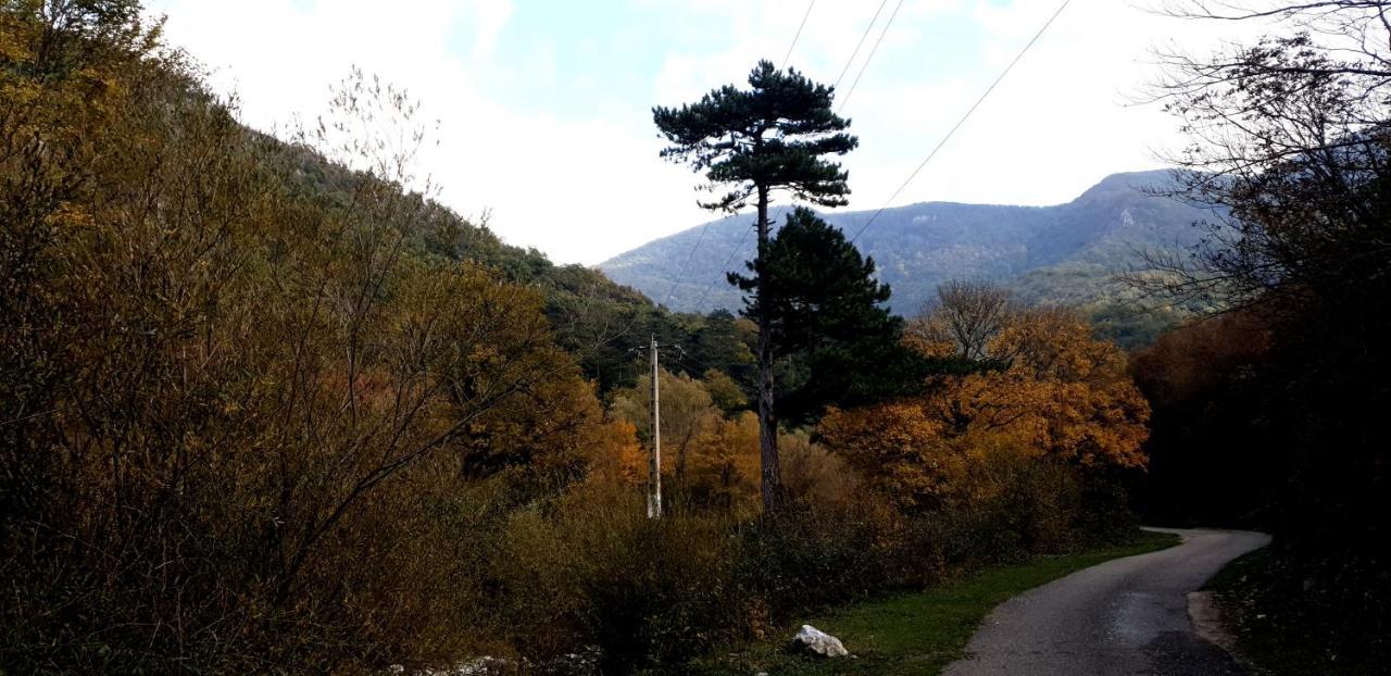 Casa Luna Betiluna Villa Oravita Dış mekan fotoğraf