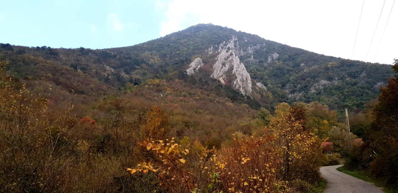Casa Luna Betiluna Villa Oravita Dış mekan fotoğraf