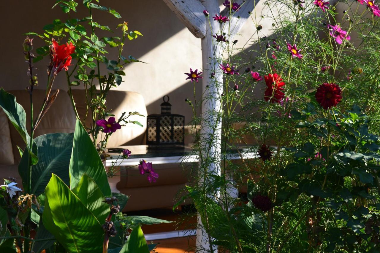 Casa Luna Betiluna Villa Oravita Dış mekan fotoğraf