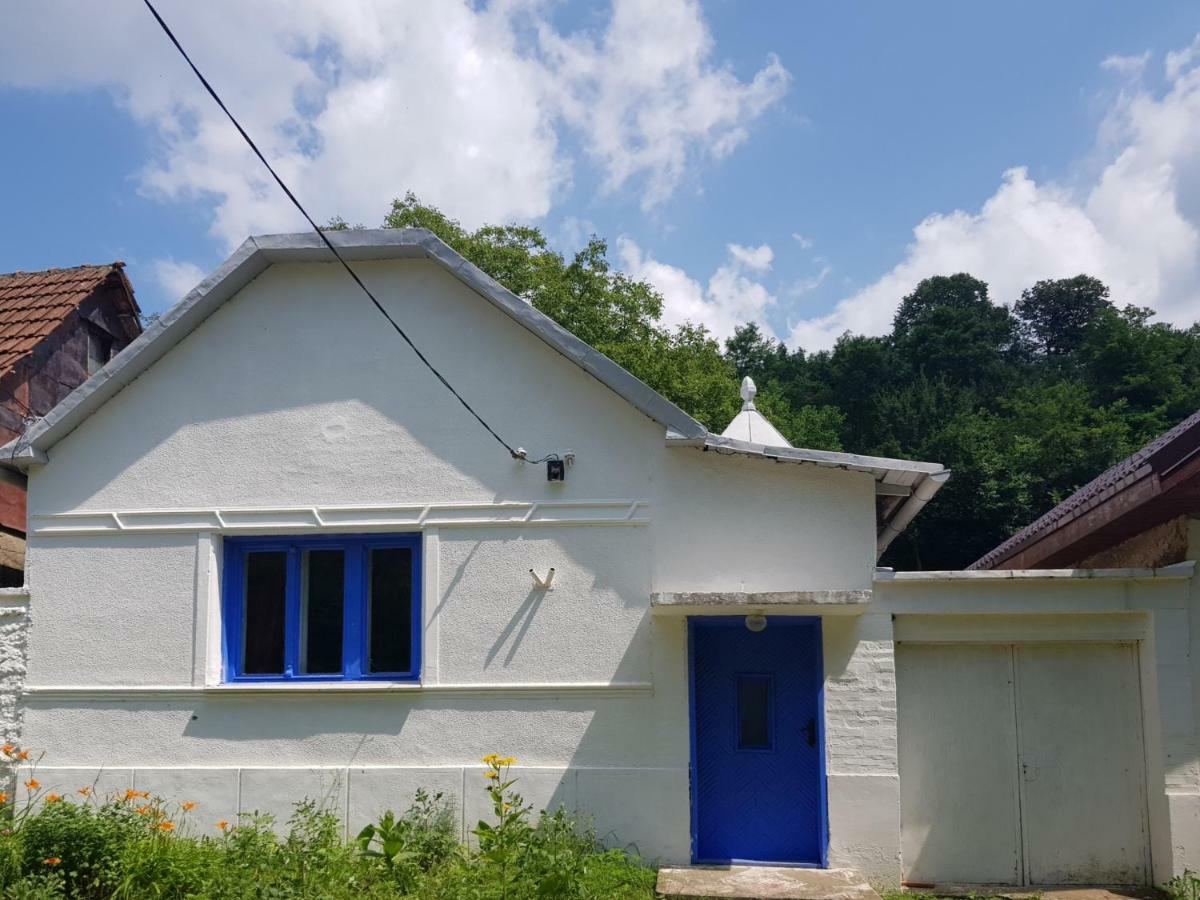 Casa Luna Betiluna Villa Oravita Dış mekan fotoğraf