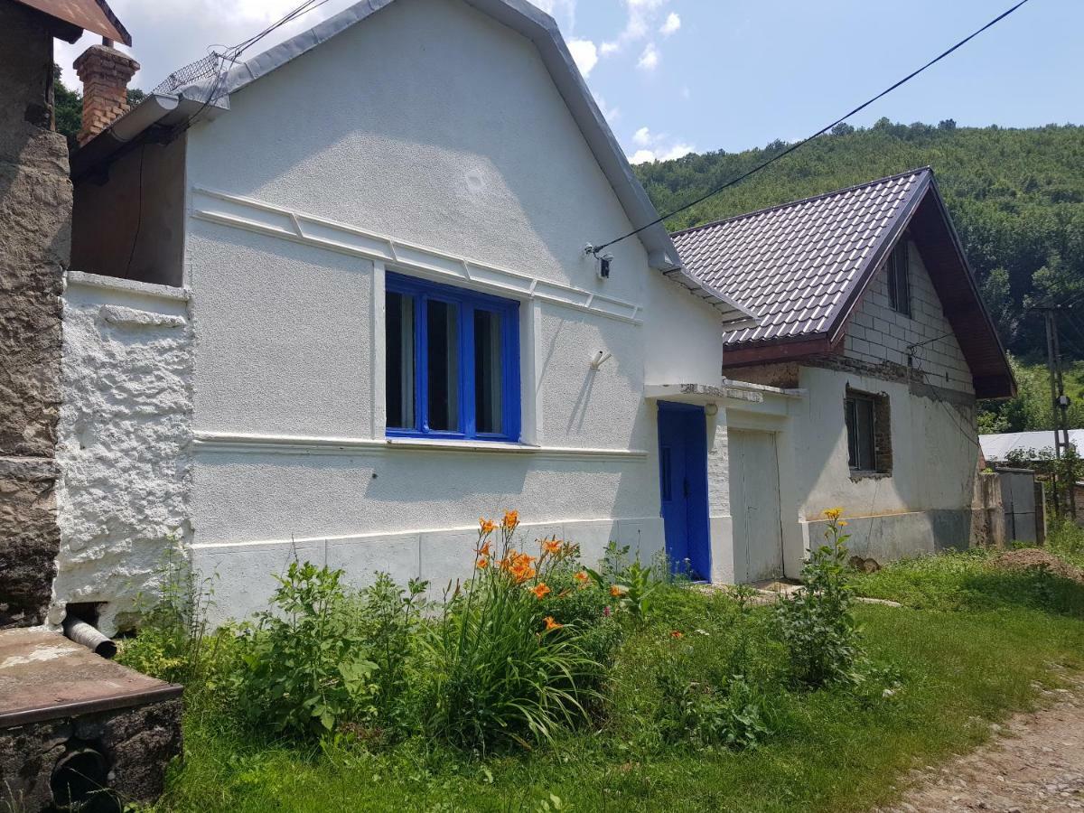 Casa Luna Betiluna Villa Oravita Dış mekan fotoğraf